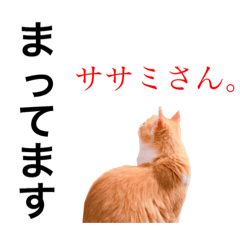 [LINEスタンプ] ねこのきもち。イチのきもち。
