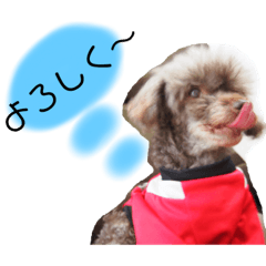 [LINEスタンプ] 家族を身近に(*˘︶˘*) 
