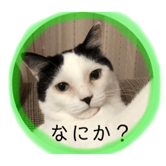[LINEスタンプ] あたちよ ナヴィよ2