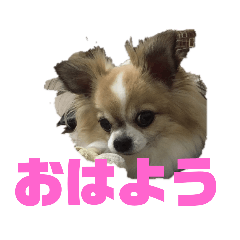 [LINEスタンプ] きりぼんぼん2
