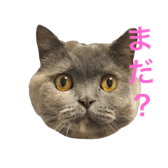 [LINEスタンプ] ウメのスタンプ 