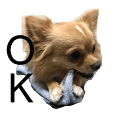 [LINEスタンプ] アオ社長のスタンプ