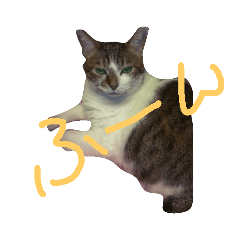[LINEスタンプ] ツンデレヤンヤン 