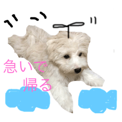 [LINEスタンプ] もふ太郎