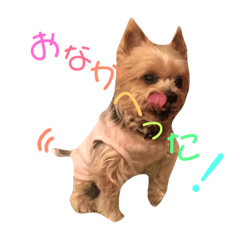 [LINEスタンプ] モコちゃん(13)のスタンプ 