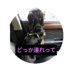 [LINEスタンプ] 心愛とショコラ