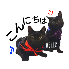 [LINEスタンプ] 黒猫兄弟 そらりく敬語 Ver.2