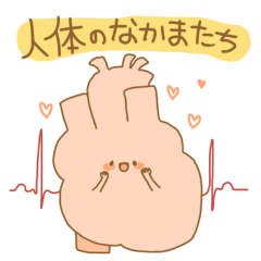 [LINEスタンプ] 人体のなかまたち