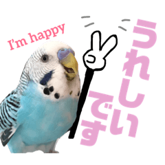 [LINEスタンプ] インコのぱーちゃん日常スタンプ❷ 