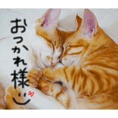 [LINEスタンプ] モフモフのお友達with愉快な仲間たち 