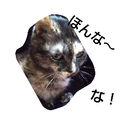 [LINEスタンプ] がむじゃが