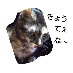 [LINEスタンプ] がむがむじゃがじゃが