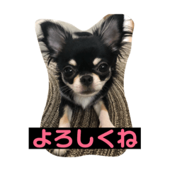 [LINEスタンプ] jillスタンプ① 