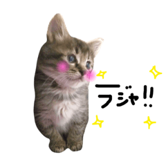 [LINEスタンプ] Luaの日常の画像（メイン）