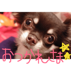 [LINEスタンプ] れおパピ