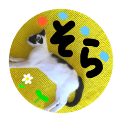 [LINEスタンプ] そらちーのスタンプ