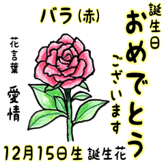 [LINEスタンプ] 12月、誕生日ごとの誕生花と花言葉。