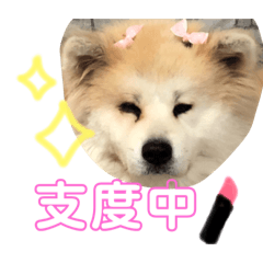 [LINEスタンプ] 可愛い。愛犬。
