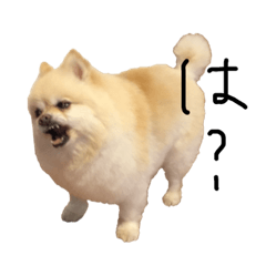 [LINEスタンプ] 杉山家のベル