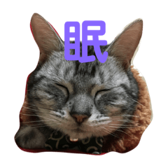 [LINEスタンプ] じんたんときなこ