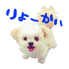 [LINEスタンプ] スパンク＆ポテト 