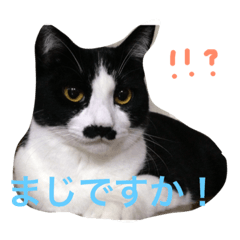 [LINEスタンプ] くうたろうスタンプ 