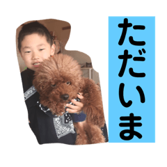 [LINEスタンプ] れんかいちょうのスタンプ 