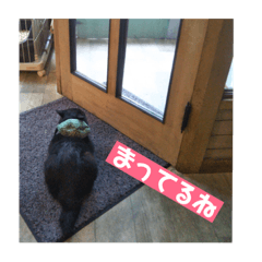 [LINEスタンプ] くぅちゃんとなかまたち 