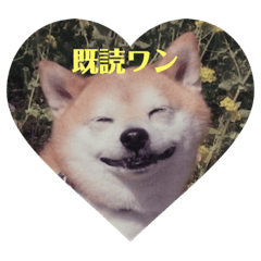 [LINEスタンプ] まめとキッズ 