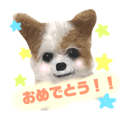 [LINEスタンプ] ニペット みかんちゃん