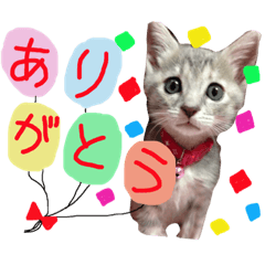 [LINEスタンプ] アンジー姫 