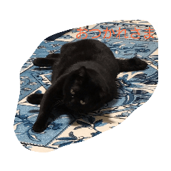[LINEスタンプ] 黒猫 みぃーたん② 