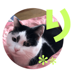 [LINEスタンプ] 花のすたんぷ