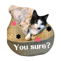 [LINEスタンプ] フクカエの変顔 