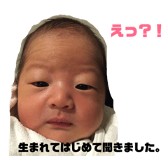 [LINEスタンプ] 徳丸くん すたんぷ 