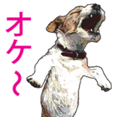 [LINEスタンプ] 犬のつぶやき生活 