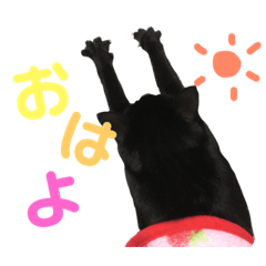 [LINEスタンプ] 黒猫なるちゃんスタンプ 