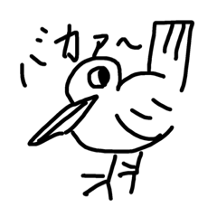 [LINEスタンプ] バカァドリの日常 
