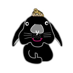 [LINEスタンプ] ウサギと時々カメ