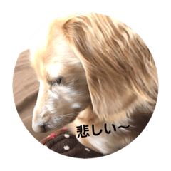 [LINEスタンプ] マロン様スタンプ