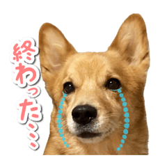 [LINEスタンプ] ぎんさんセリフスタンプ②