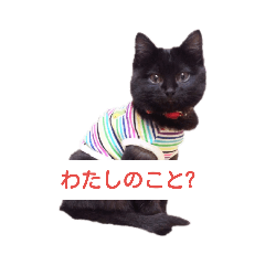[LINEスタンプ] とーりさん 
