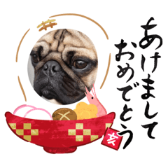 [LINEスタンプ] 箱車日常会話 