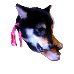 [LINEスタンプ] リアル動物 