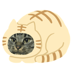 [LINEスタンプ] ぽんたくんスタンプ2