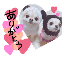 [LINEスタンプ] ルルペコ♥姉妹すたんぷ 