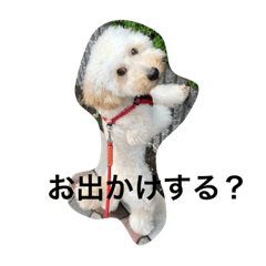 [LINEスタンプ] たむらたろきち 