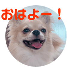[LINEスタンプ] ロンとまいにち 