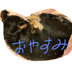 [LINEスタンプ] はらだのむぎちゃん2 