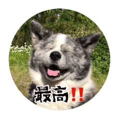 [LINEスタンプ] マルちゃんと仲間たち